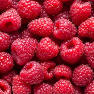 Cétones de framboise